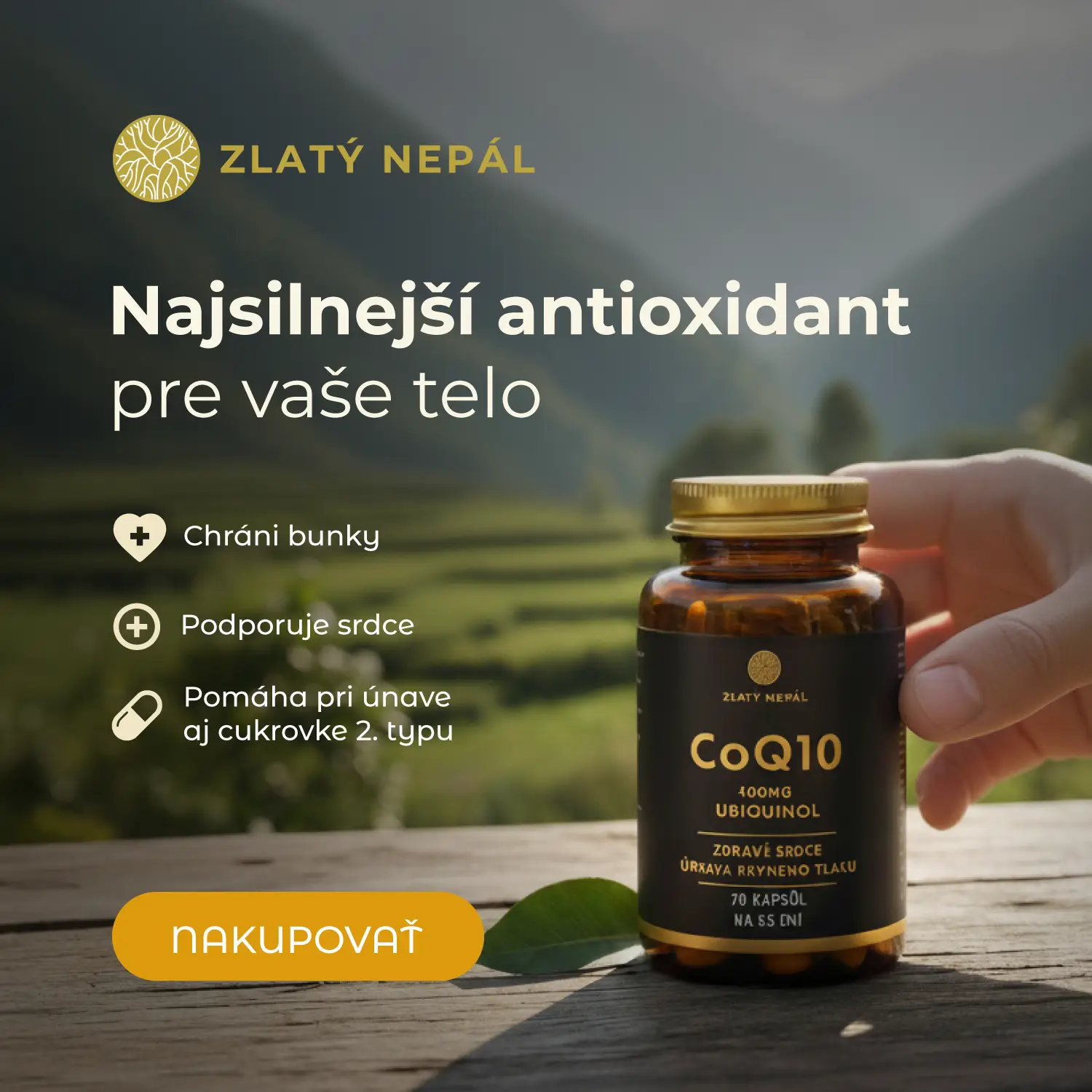 102025_ZlatyNepal_COQ_02_1500x1500px_A